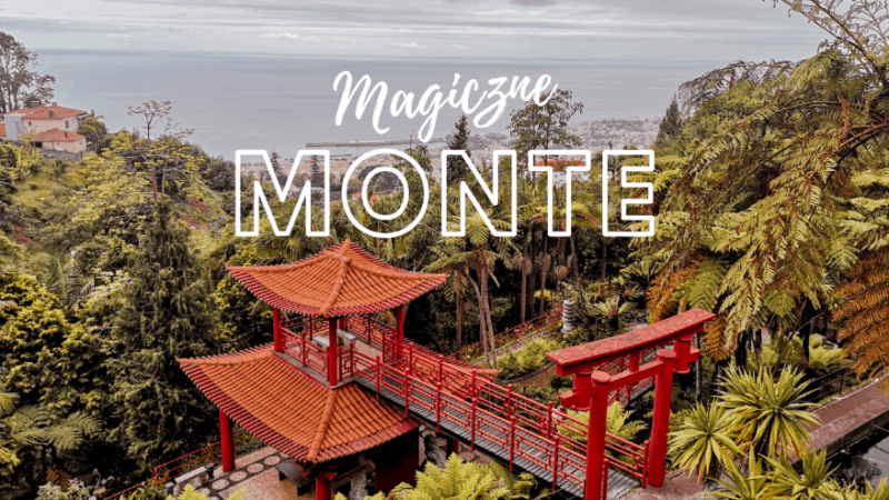 Monte – Ogród tropikalny Monte Palace i zjazd na sankach